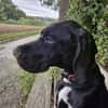 Eros sucht ein Zuhause