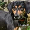 ELISABETH