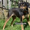 ELISABETH
