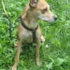 Sol6 sucht ein Zuhause