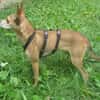 Sol6 sucht ein Zuhause