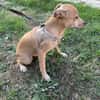 Marcy sucht ein Zuhause