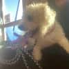 LEZY
