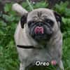 OREO