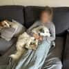 Charlie sucht liebevolle Hundekenner❤