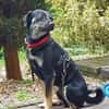 Zicco; Seelchen in Not