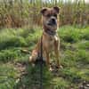 Sonnenschein Beru sucht sein Happy End