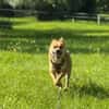 Sonnenschein Beru sucht sein Happy End