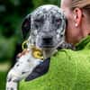 Sully, alltagstauglicher Sonnenschein, c