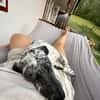 Sully, alltagstauglicher Sonnenschein, c
