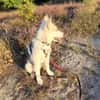 💕Skadi💕 sucht eine liebe Familie🐾💕🐾