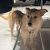 Celina sucht eine aktive Familie