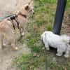 Celina sucht eine aktive Familie