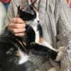 Zuhause gesucht für Nuri&Xena