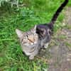 Berlioz