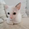 Lily Rose, la douce