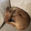 Maite unsere kleine Mutter Courage