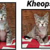 KHEOPS(Réservé )