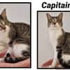 CAPITAINE