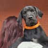 Kah (en cours d'adoption)