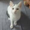 LOUNA