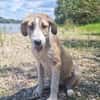 💕Hana💕 sucht ein schönes Zuhause