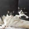 Sohn Edgar und Mama Wilma