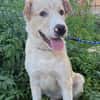 DUKE (Martina)