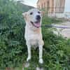 DUKE (Martina)