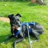 Bella8 sucht ein Zuhause
