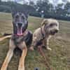 Coco sucht Familie
