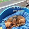 Süße kleine Anett sucht liebes Zuhause