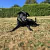 RONY besondere Adoption!