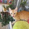Annabelle & Willow suchen DICH!