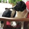 STAMOS (SAM) verliert sein Zuhause