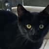SALEM