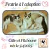 Câlin et Pitchoune