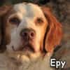 EPY