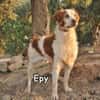 EPY