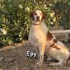 EPY