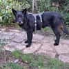 Mariechen sucht ein Zuhause