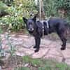 Mariechen sucht ein Zuhause