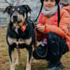 Axel - sanfter Familienhund