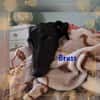 Bruss unkomplizierter Galgo 1/23 DE PS