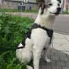 Maia; sucht Ruhe und Sicherheit