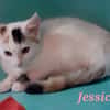 Jessica