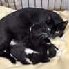 GAIA en famille relais
