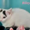 Riley