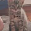 INOUÉ