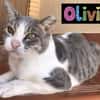 Olivia